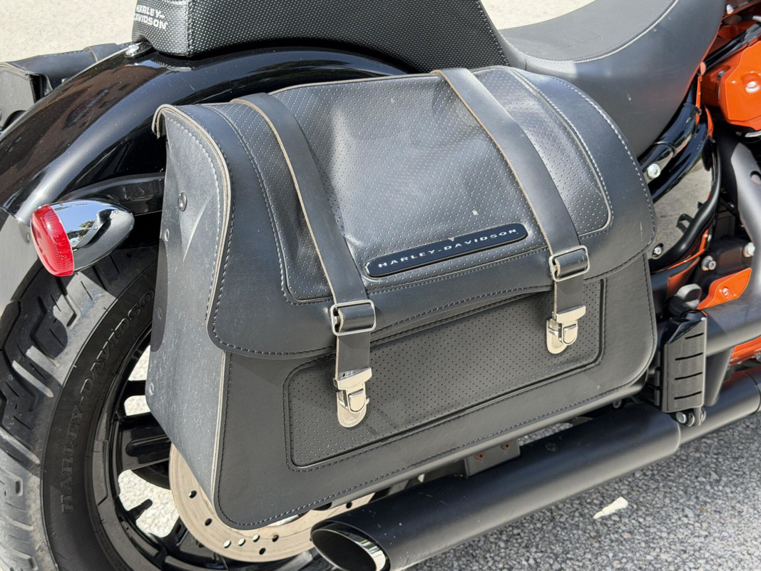 Softail® Standard