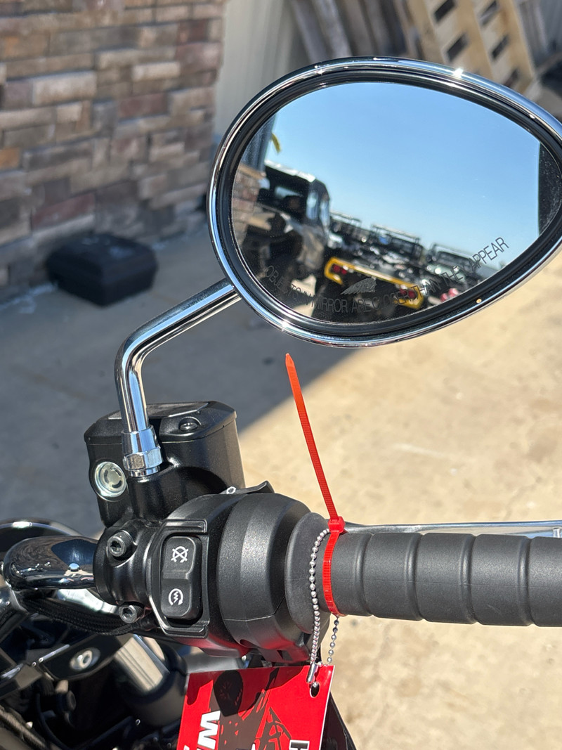 Scout Classic Limited
