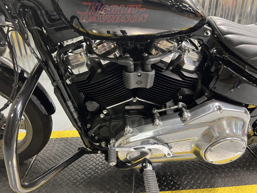 Softail® Standard