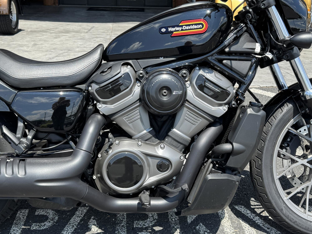 Nightster Special