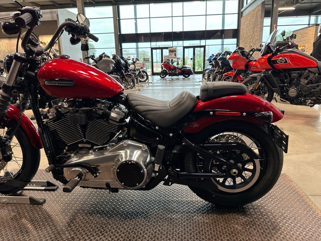 Street Bob®
