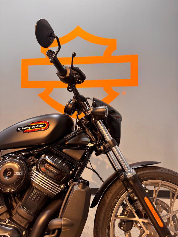 Nightster Special