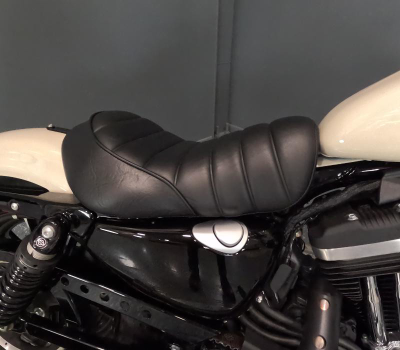 Iron 883®