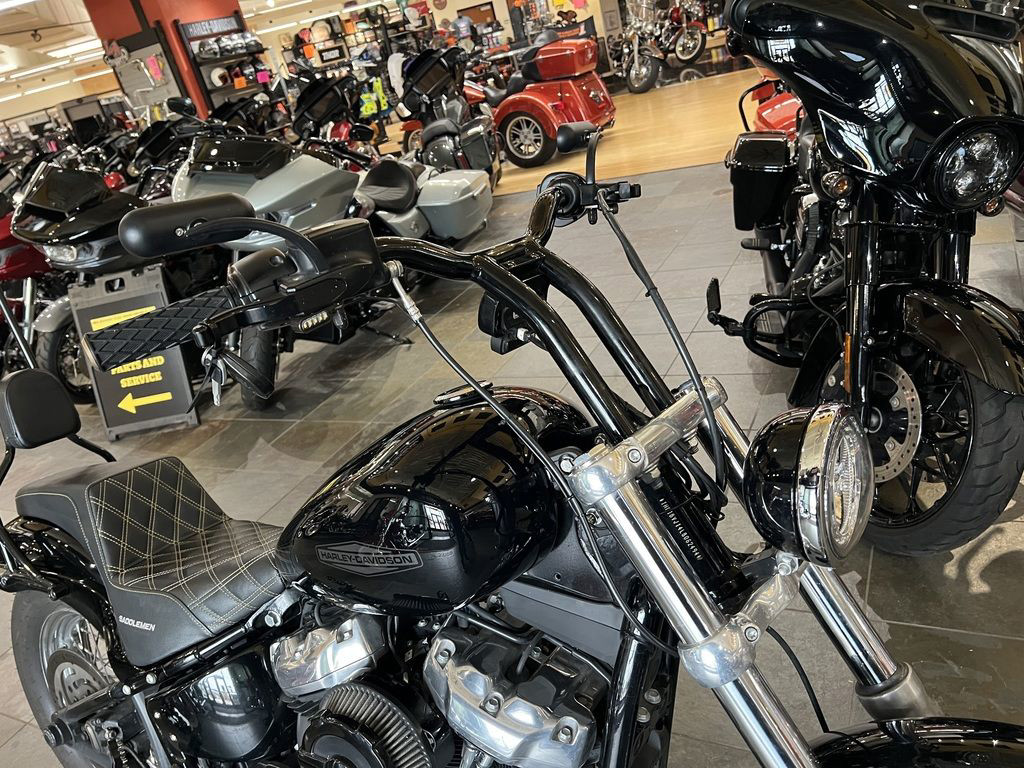 Softail® Standard