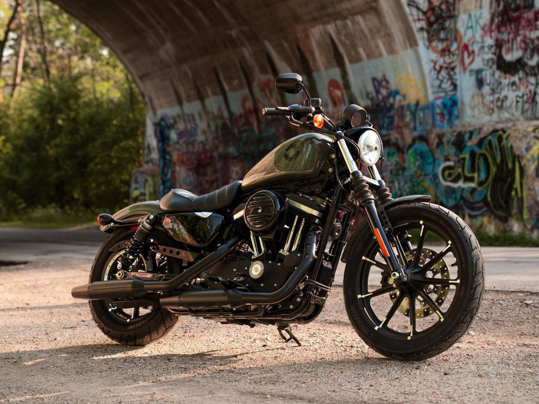 Iron 883®