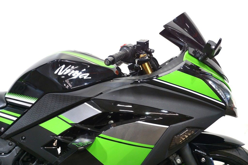 Ninja® 300 ABS KRT Edition