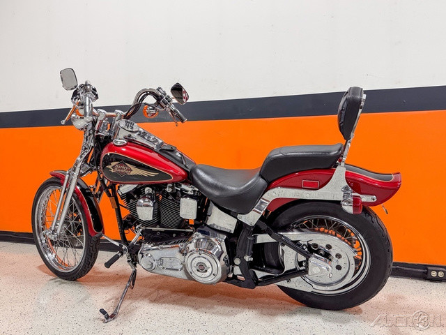 Springer® Softail®