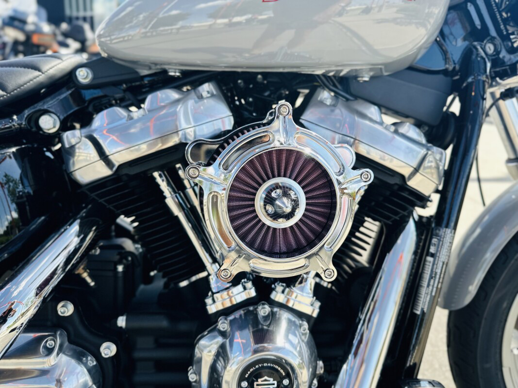 Softail® Standard
