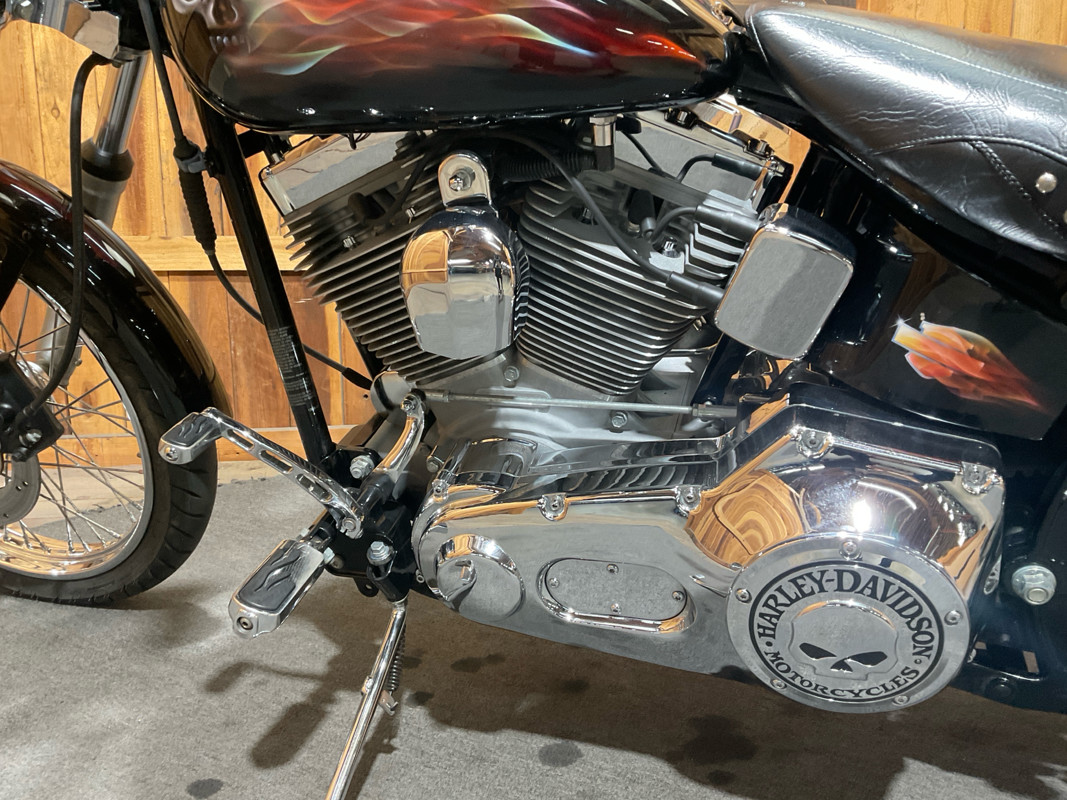Softail® Standard