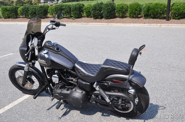 Dyna® Street Bob®