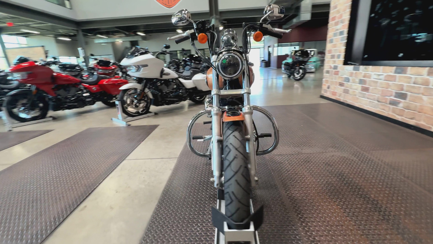 Sportster® 1200 Low Anniversary