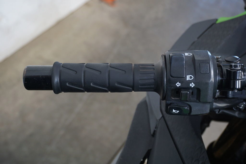 Ninja® 300 ABS KRT Edition