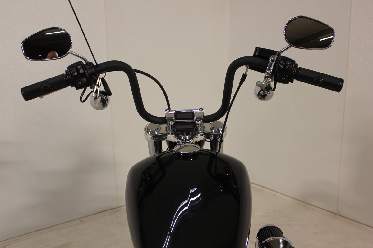 Softail® Standard