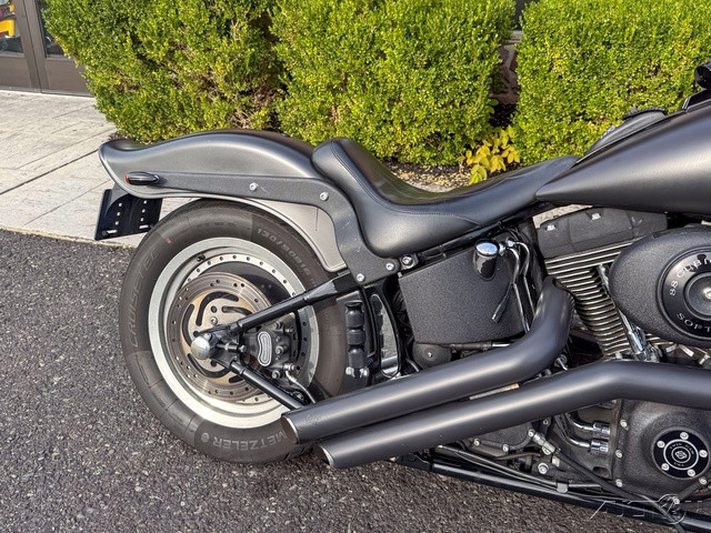 Softail® Night Train®