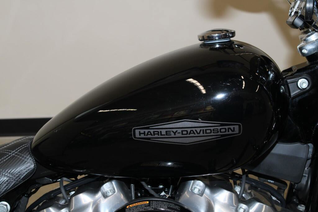Softail® Standard