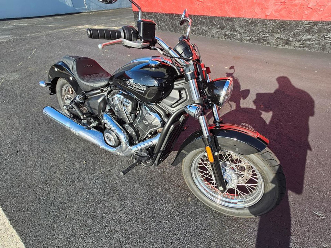 Scout Classic Limited