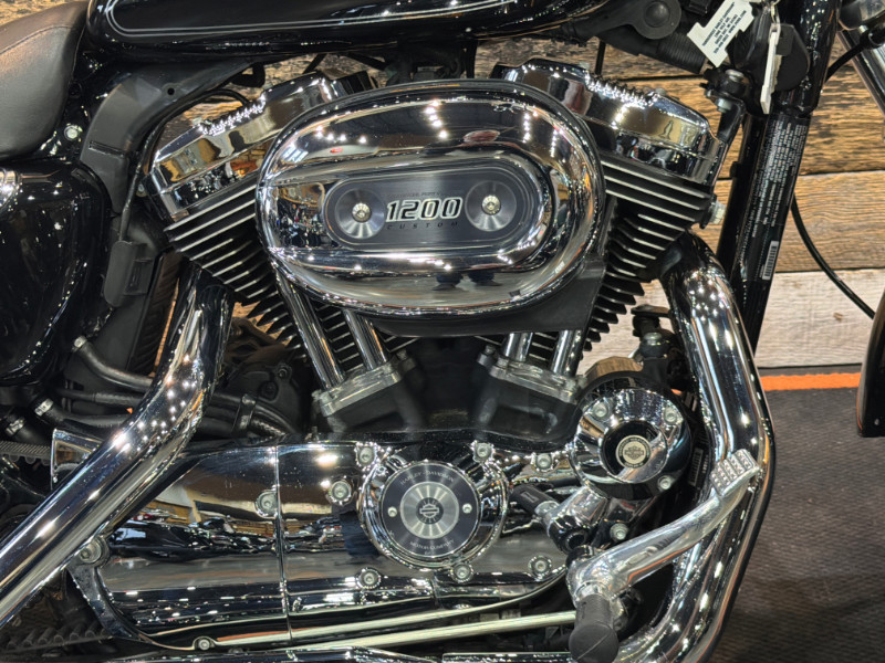 Sportster® 1200 Custom - H-D1 Factory Custom