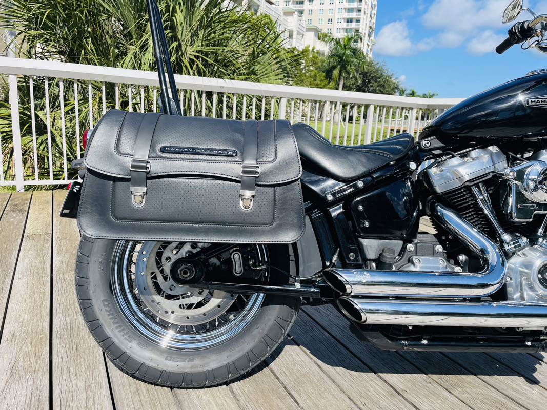 Softail® Standard