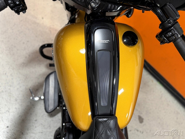 Street Glide® Special