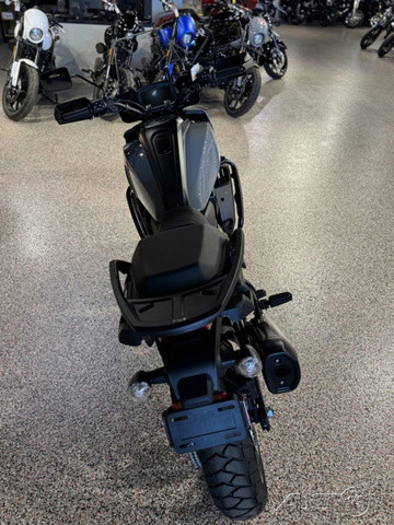 Pan America® 1250 Special