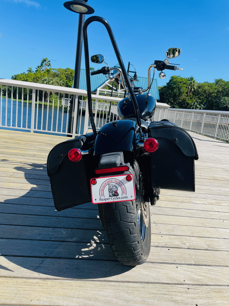 Softail® Standard