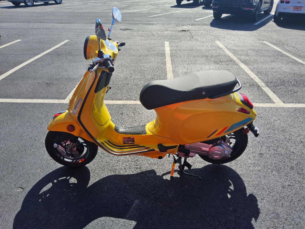 Primavera 50