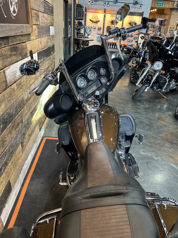 Electra Glide® Ultra® Limited 110th Anniversary