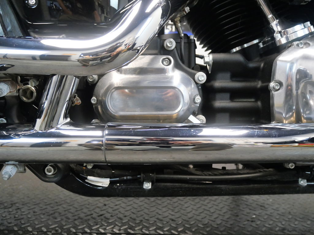 Softail® Standard