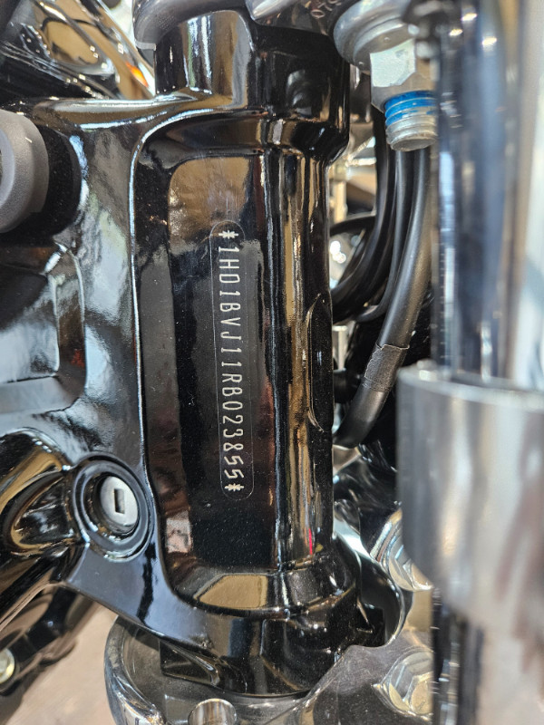 Softail® Standard