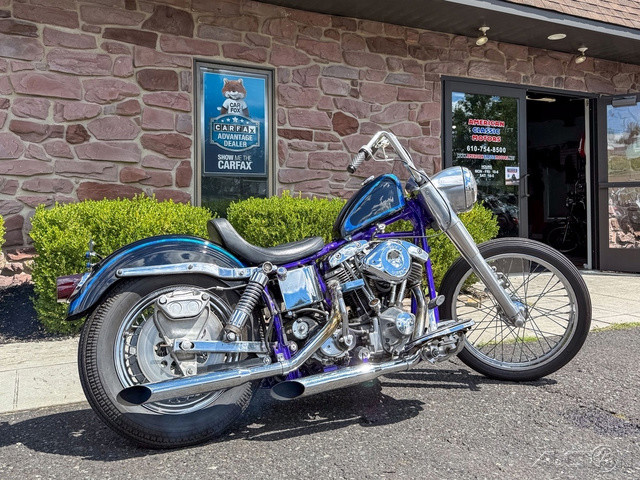 Electra Glide® Police