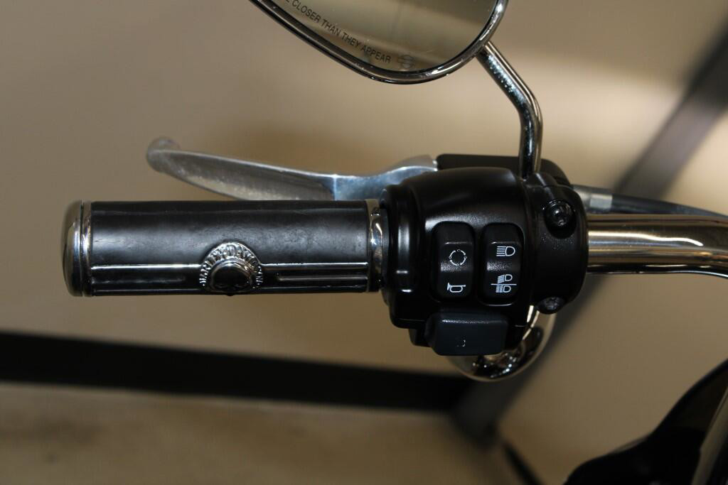 Softail® Standard