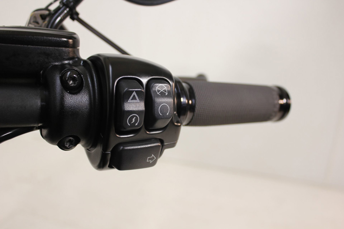 Softail® FXDR® 114