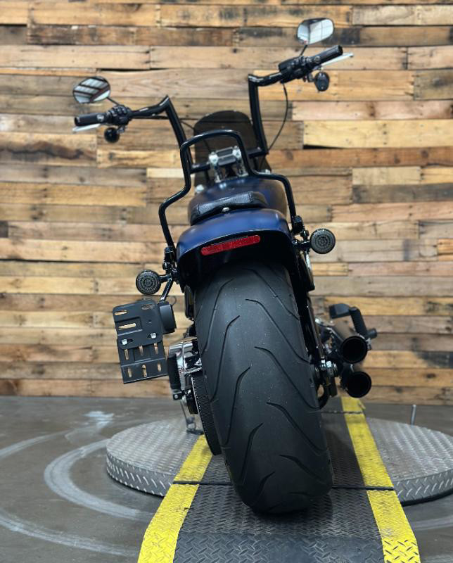 Softail® Breakout® 114 115th Anniversary