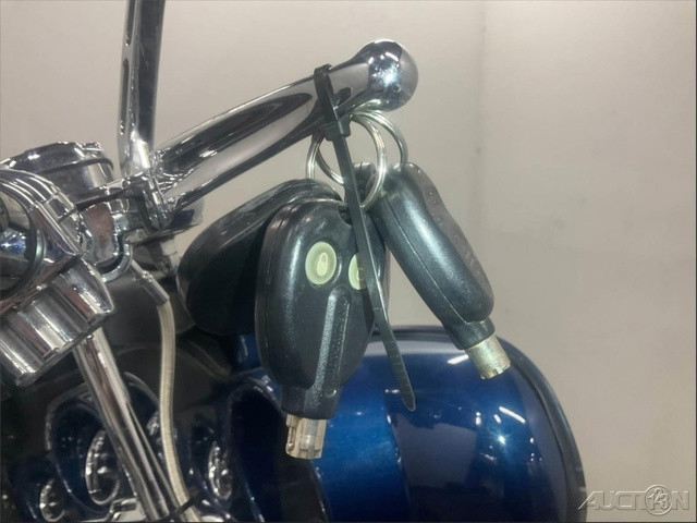 CVO® Ultra Classic® Electra Glide® 