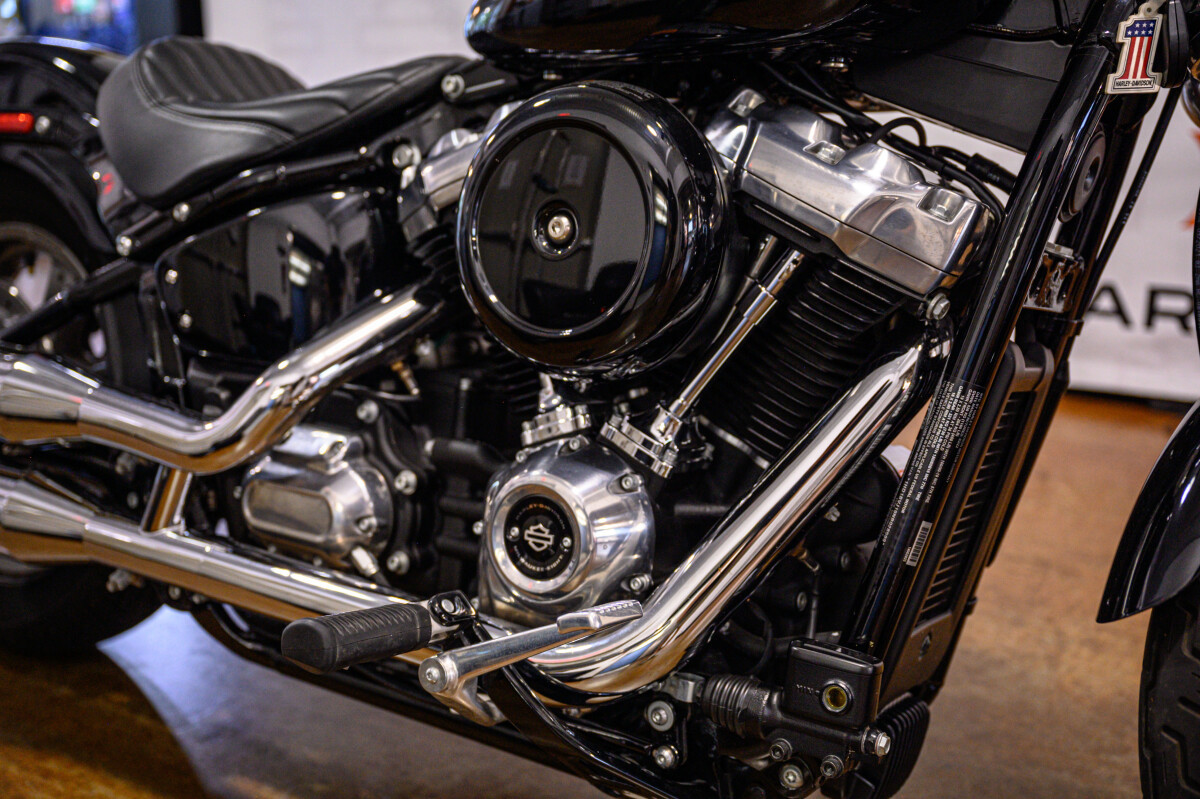 Softail® Standard