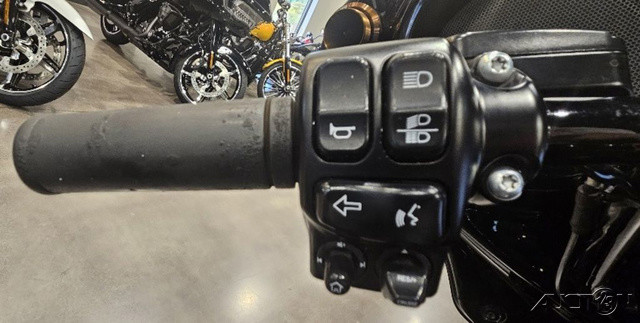 Street Glide® Special