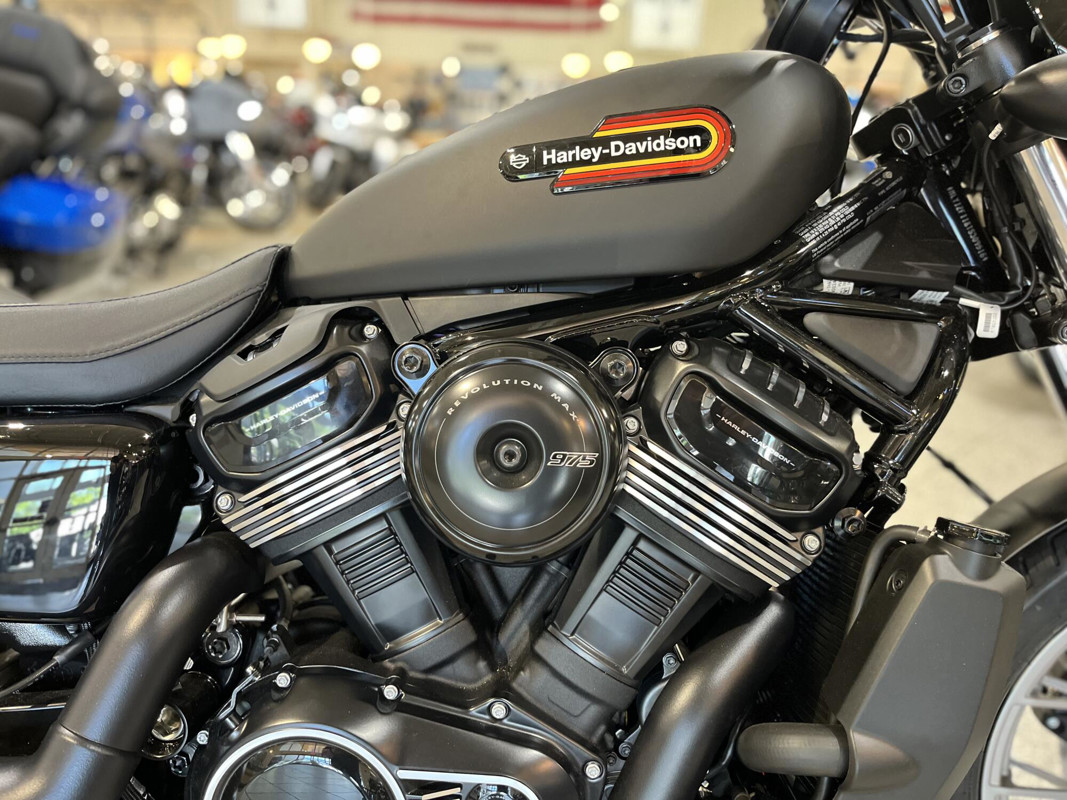 Nightster Special