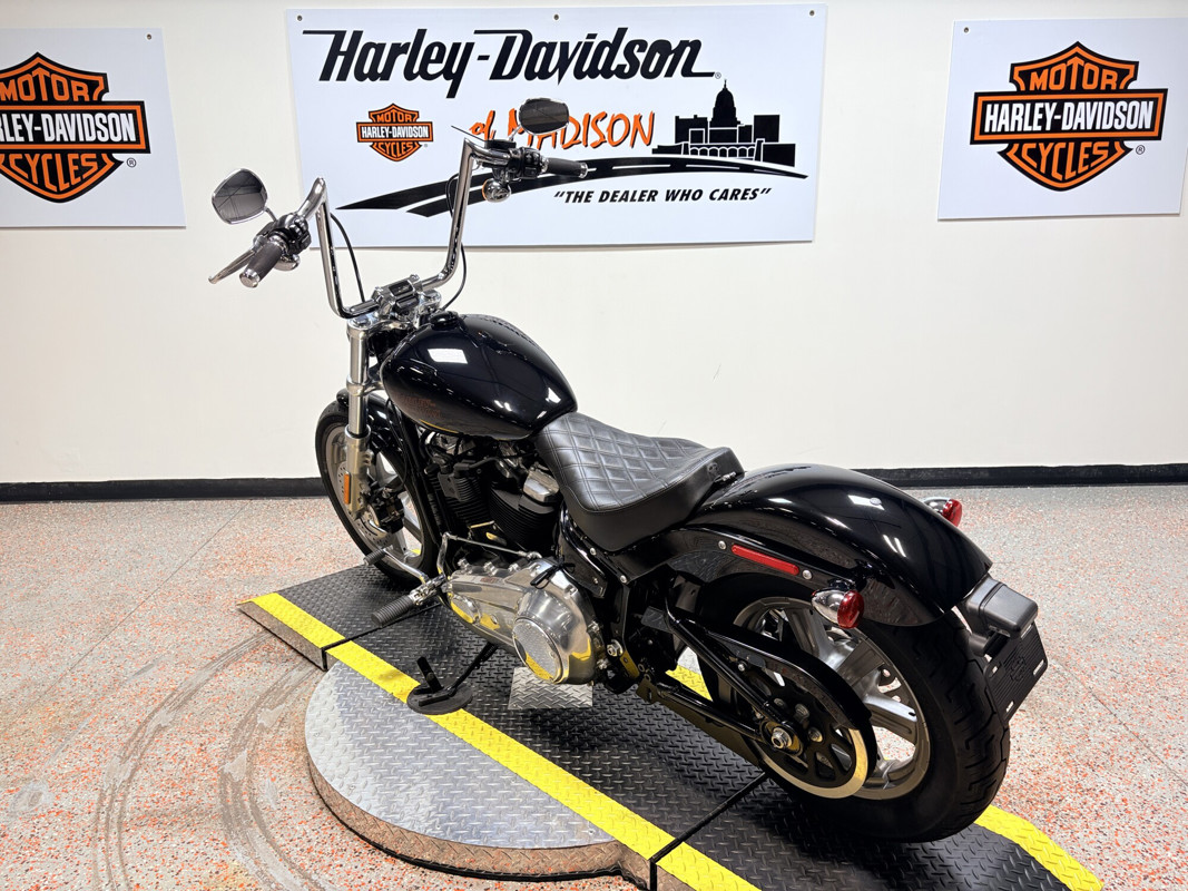 Softail® Standard