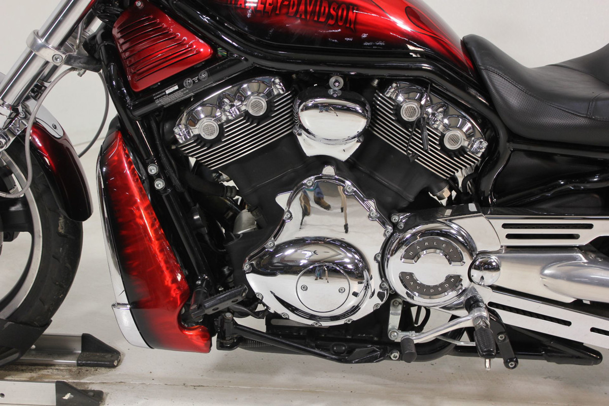 V-Rod® Night Rod®
