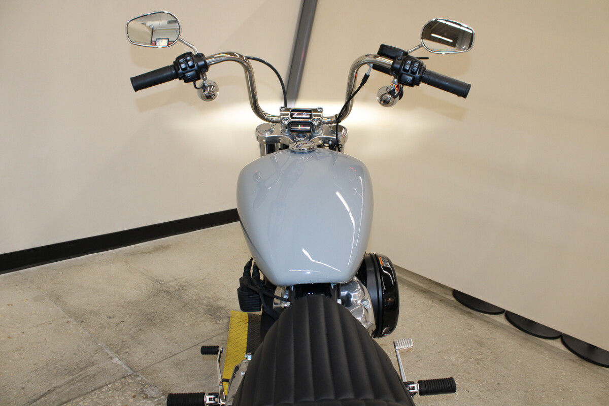 Softail® Standard