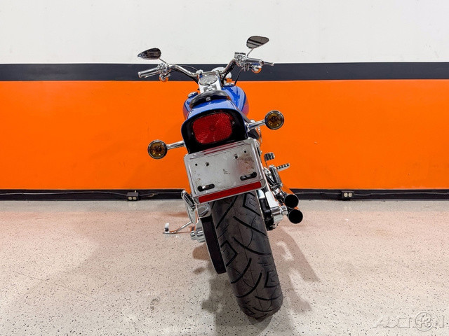 Springer® Softail®