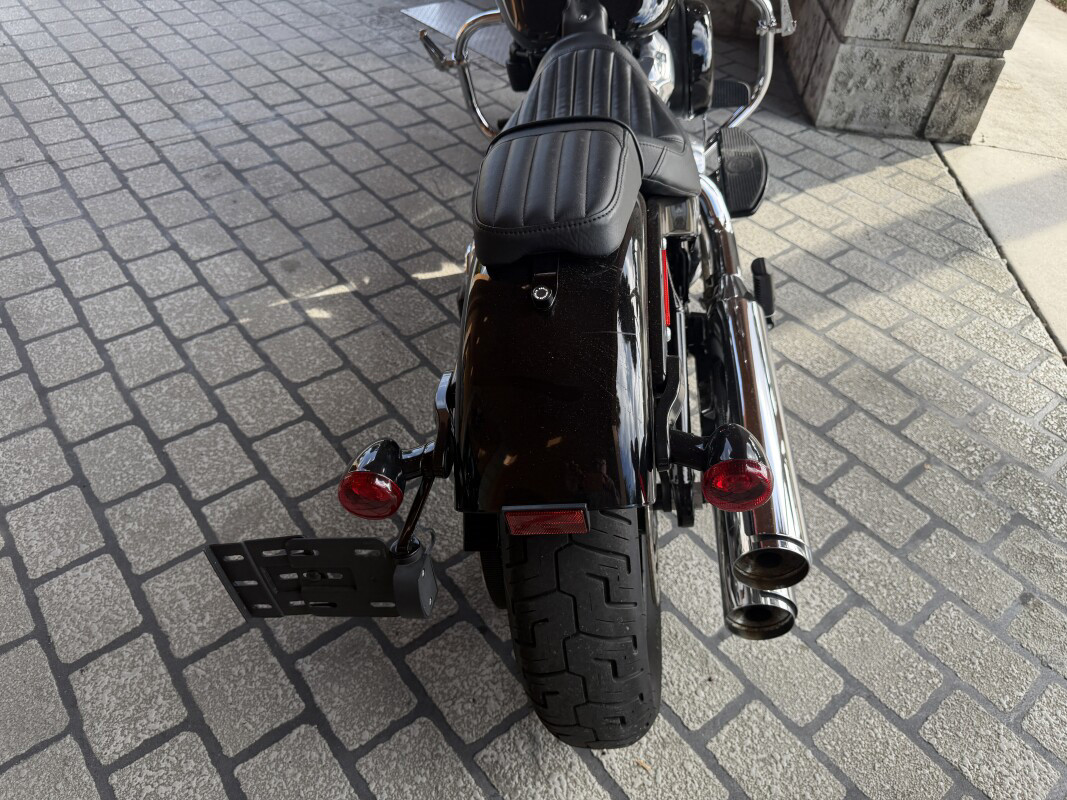 Softail® Slim®