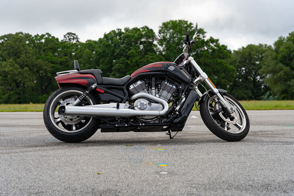 V-Rod® Muscle