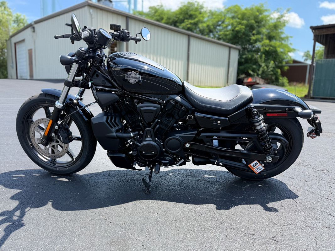 Nightster