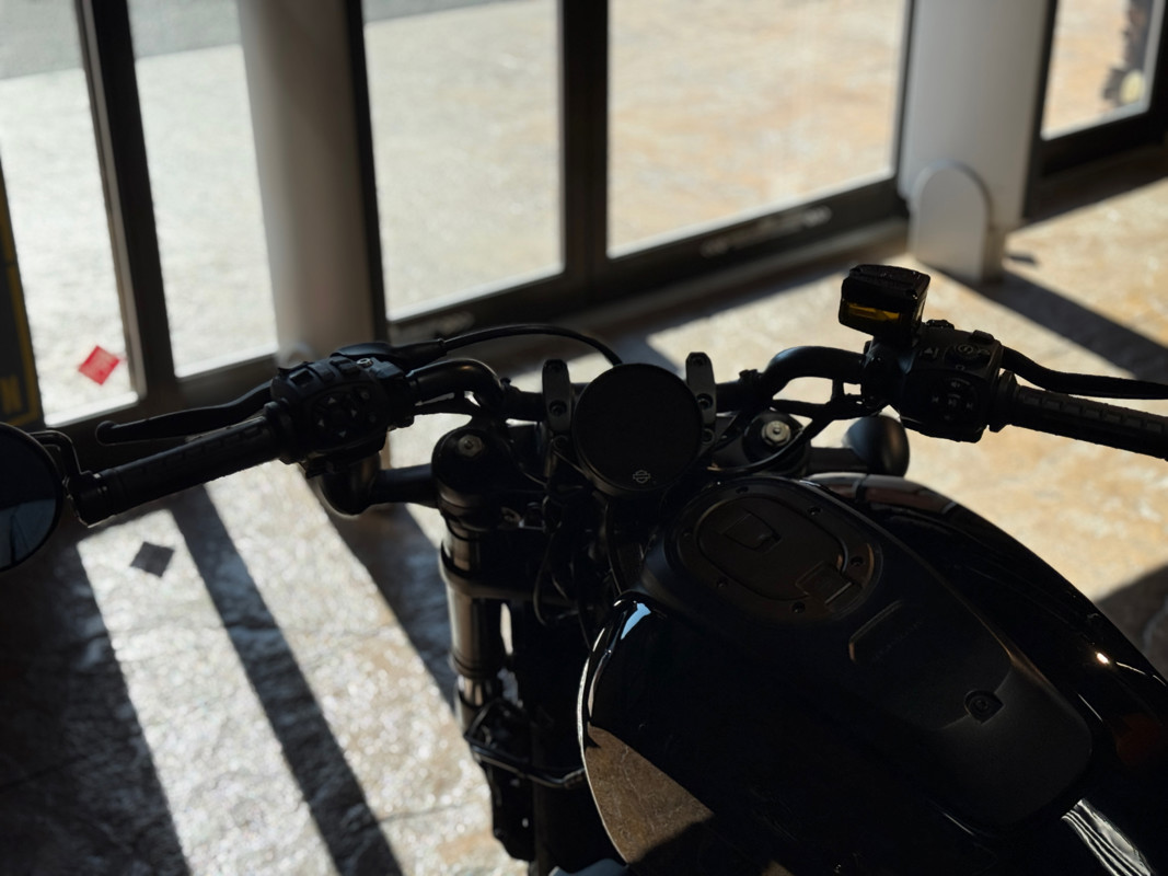 Sportster® S