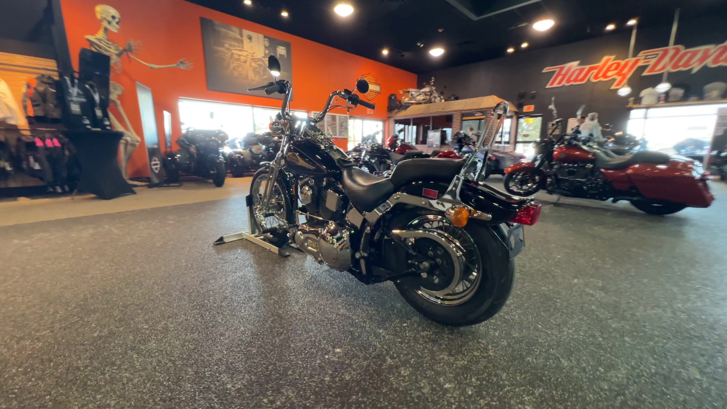 Springer® Softail®