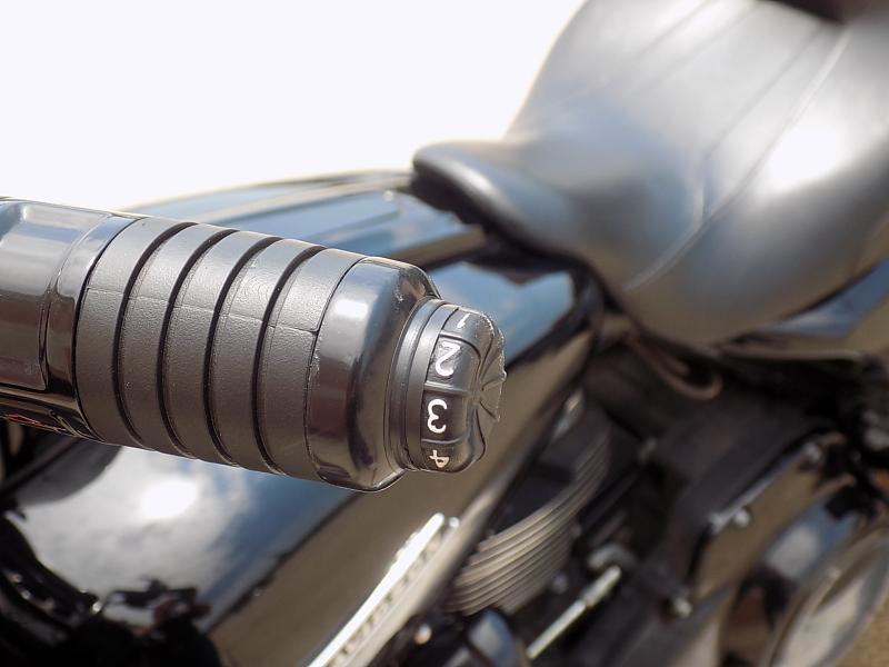 Street Glide® Special