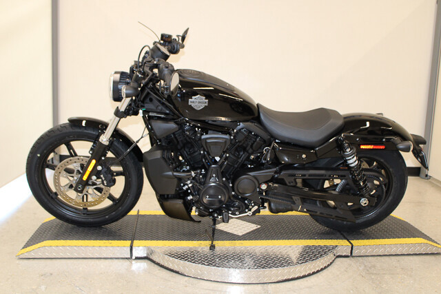 Nightster