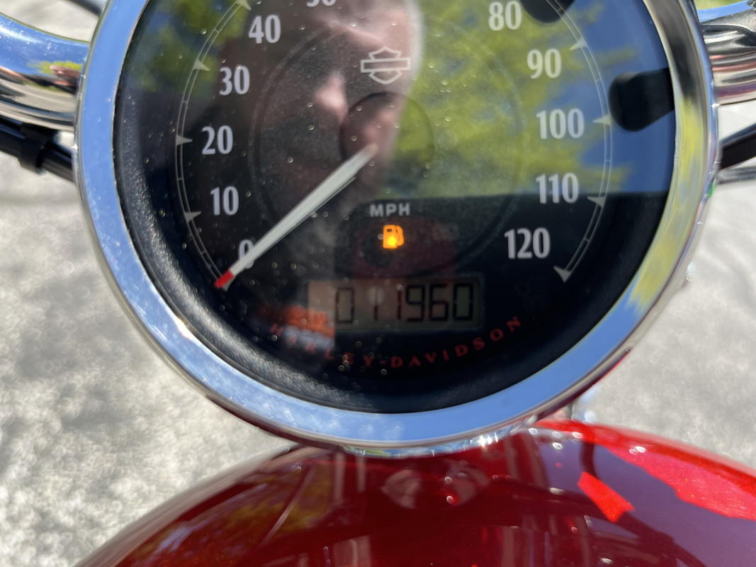 Sportster® 1200 Custom