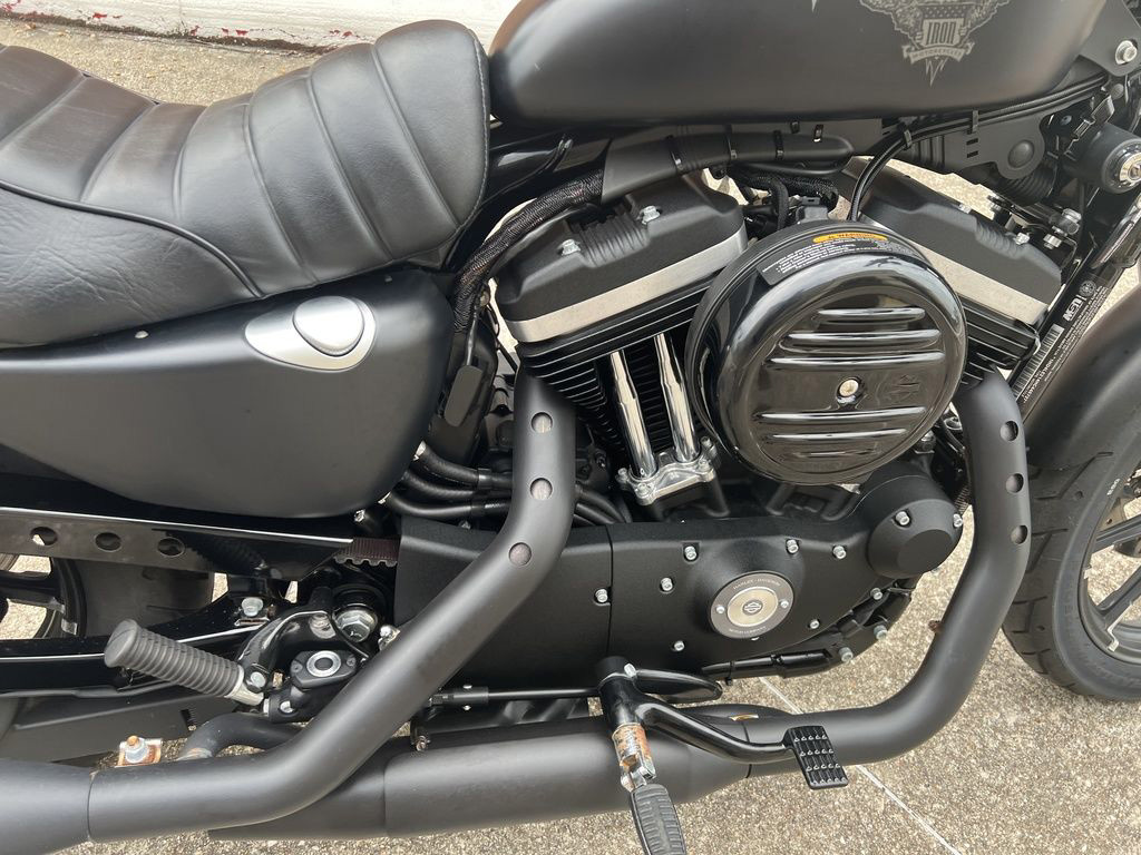 Sportster® Iron 883®